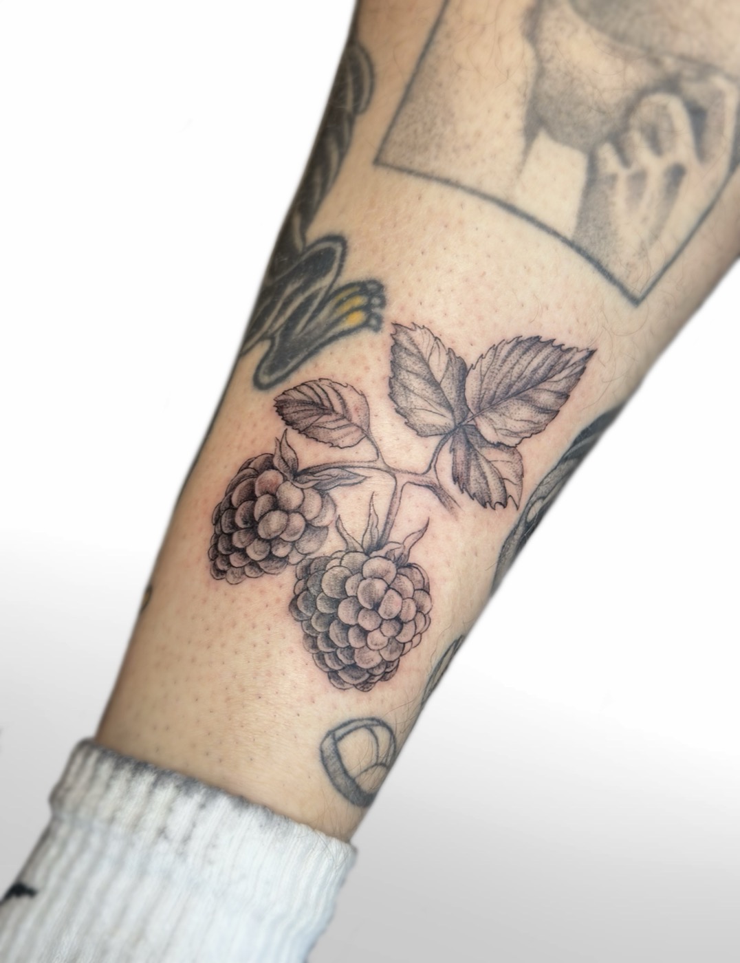 Raspberries